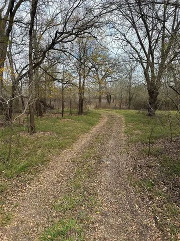 a large field with lots of trees