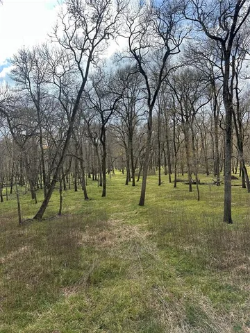 a view of a yard with trees