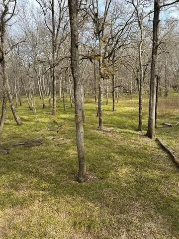 a view of outdoor space with trees