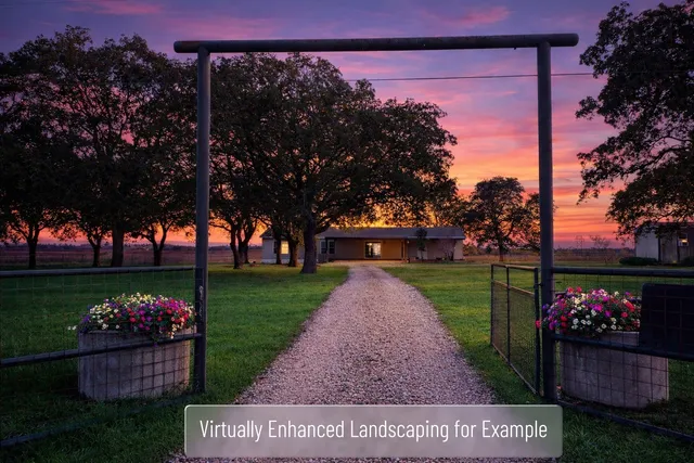 a view of a garden with flowers and trees