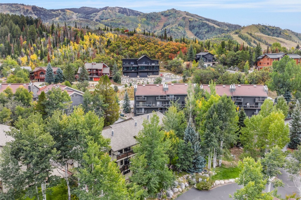 2116 Aster Place Steamboat Springs, CO 80487 - Photo 39 of 42 an aerial view of multiple house