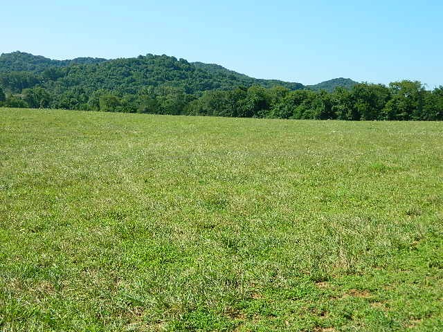 6233 Meeks Road Franklin, TN 37064 - Photo 1 of 27