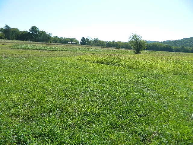 6233 Meeks Road Franklin, TN 37064 - Photo 13 of 27