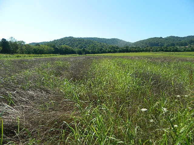 6233 Meeks Road Franklin, TN 37064 - Photo 15 of 27