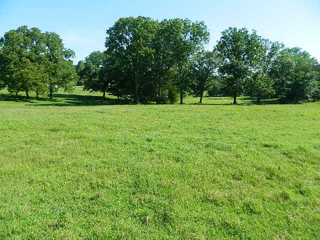 6233 Meeks Road Franklin, TN 37064 - Photo 3 of 27