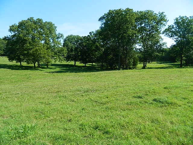 6233 Meeks Road Franklin, TN 37064 - Photo 4 of 27