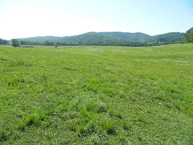 6233 Meeks Road Franklin, TN 37064 - Photo 8 of 27