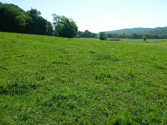6233 Meeks Road Franklin, TN 37064 - Photo 9 of 27