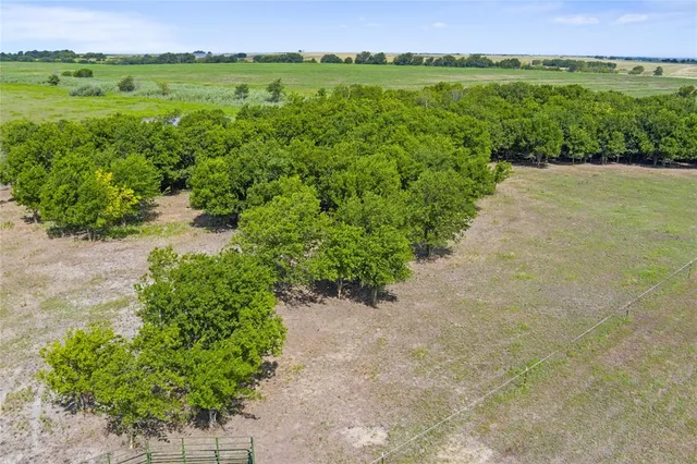$384,500 | 162 Hcr 3215, Penelope, TX 76676