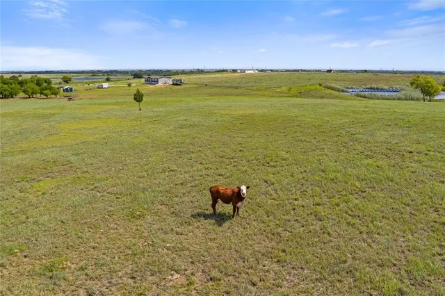 $384,400 | 162 Hcr 3215, Penelope, TX 76676