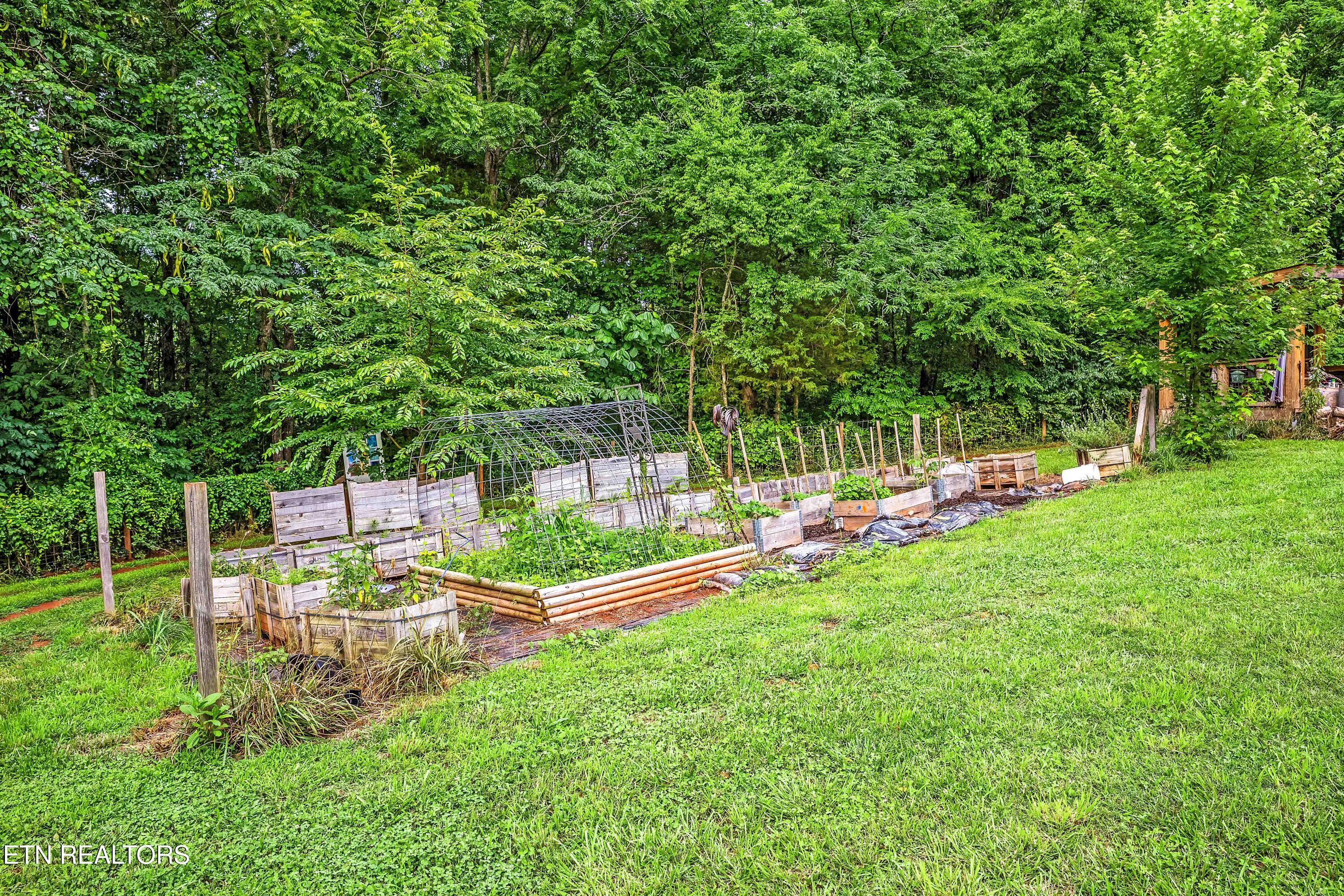 516 Knob Road Vonore, TN 37885 - Photo 34 of 37 IMG_9954