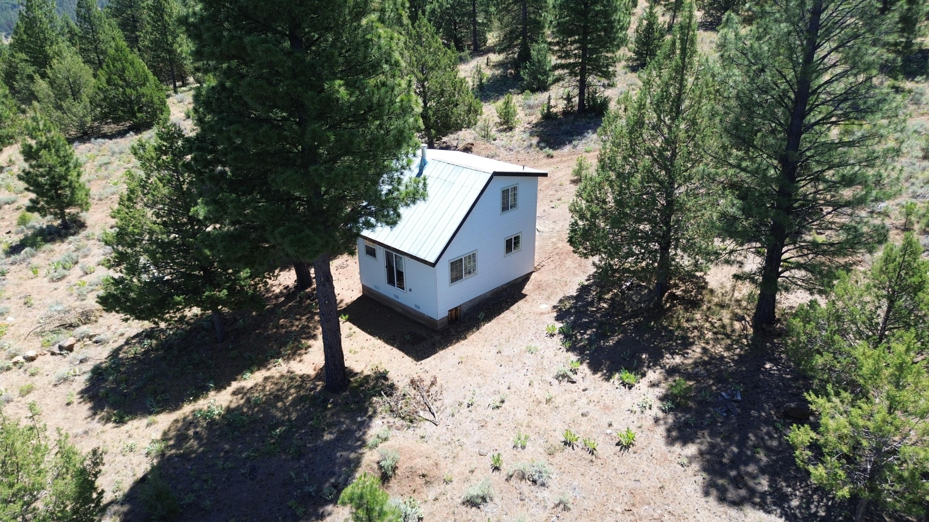 542-405 Punkin Center Road Bieber, CA 96009 - Photo 42 of 127 CABIN (11)