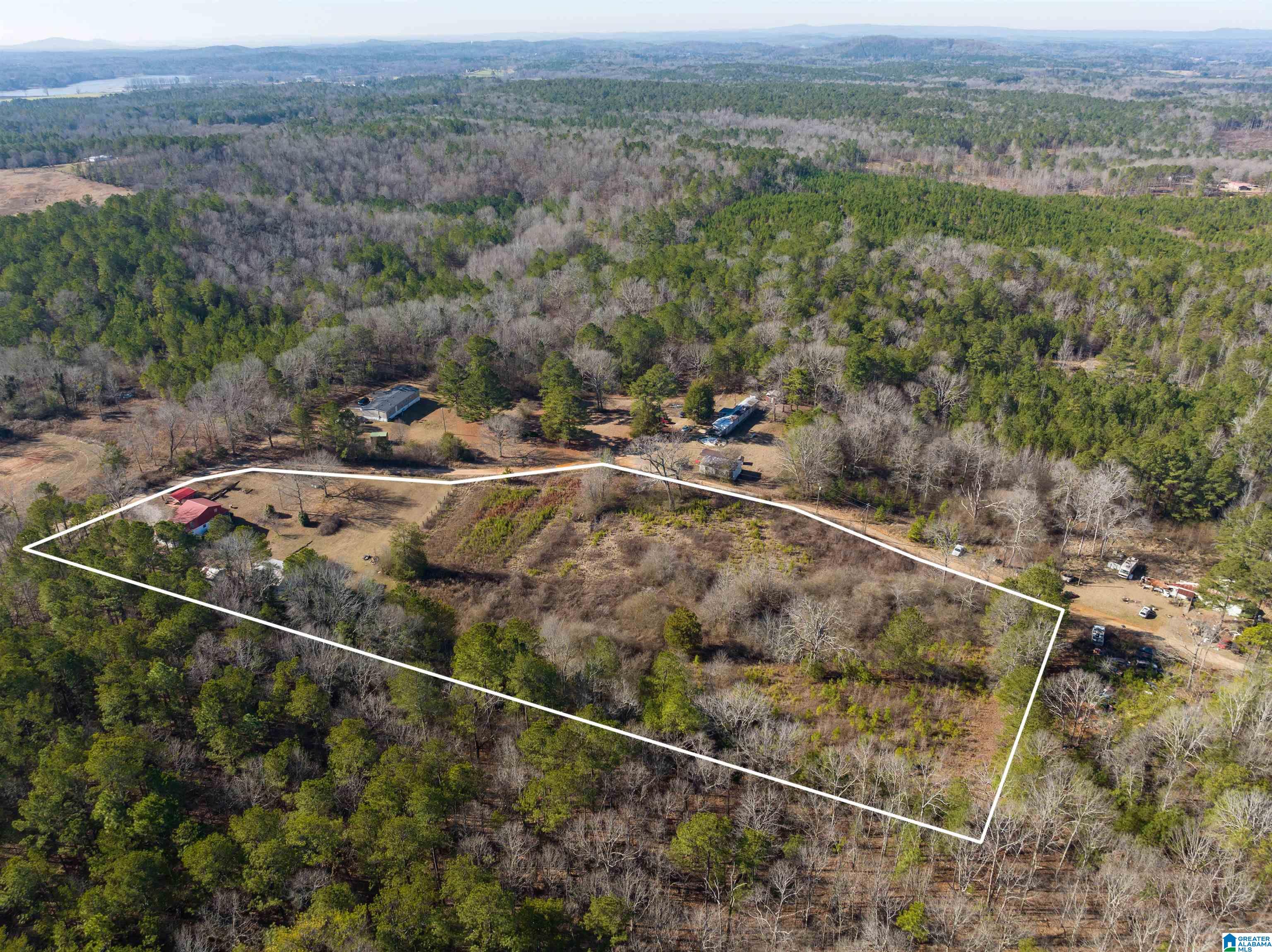 242 Strong Road Talladega, AL 35160 - Photo 6 of 51