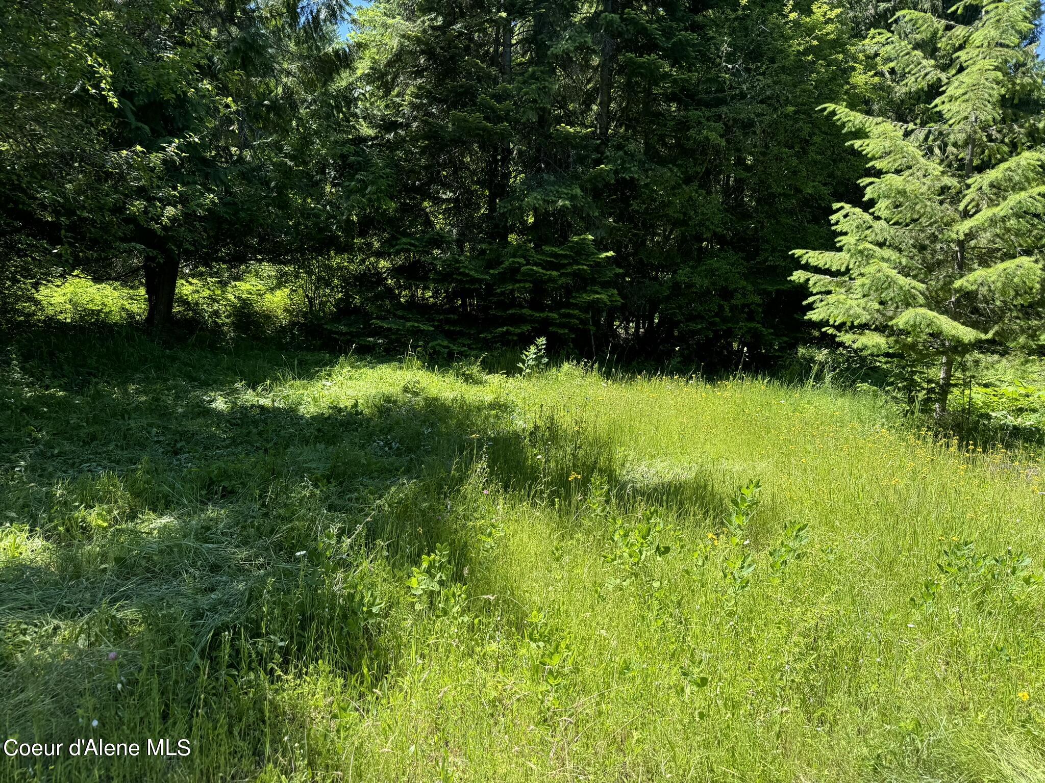 7362 South Dick's Creek Road Kendrick, ID 83537 - Photo 17 of 47 17