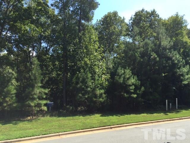 140 High Ridge Lane Pittsboro, NC 27312 - Photo 3 of 19 Gallery Image 3
