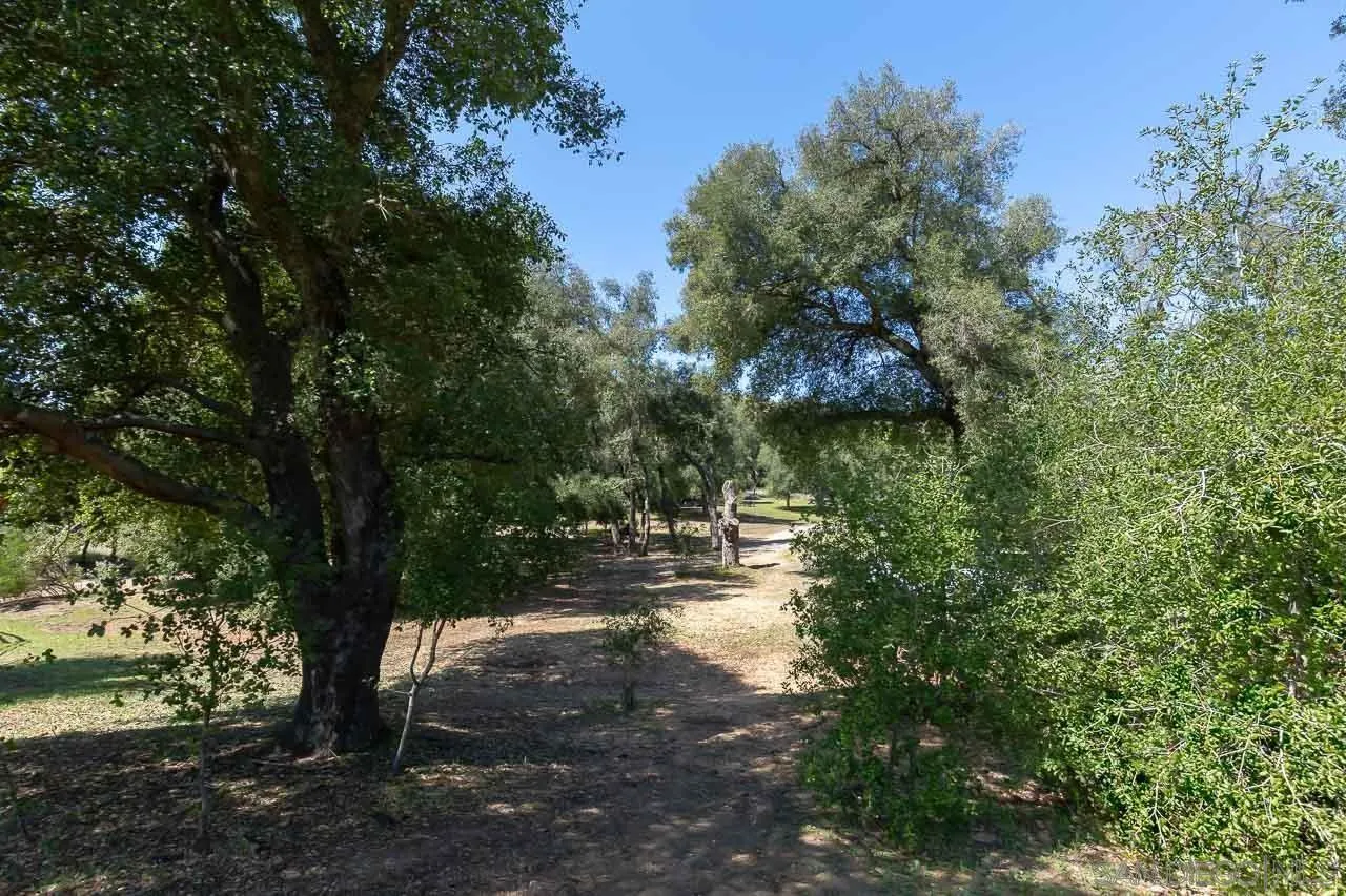 5867 Forest Meadow Road, Unit 15 Julian, CA 92036 - Photo 15 of 36 Gallery Image 15