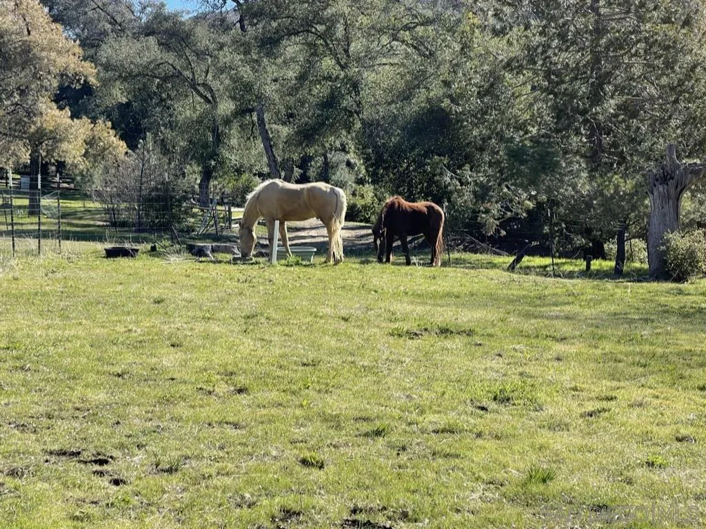 5867 Forest Meadow Road, Unit 15 Julian, CA 92036 - Photo 20 of 36 Gallery Image 20