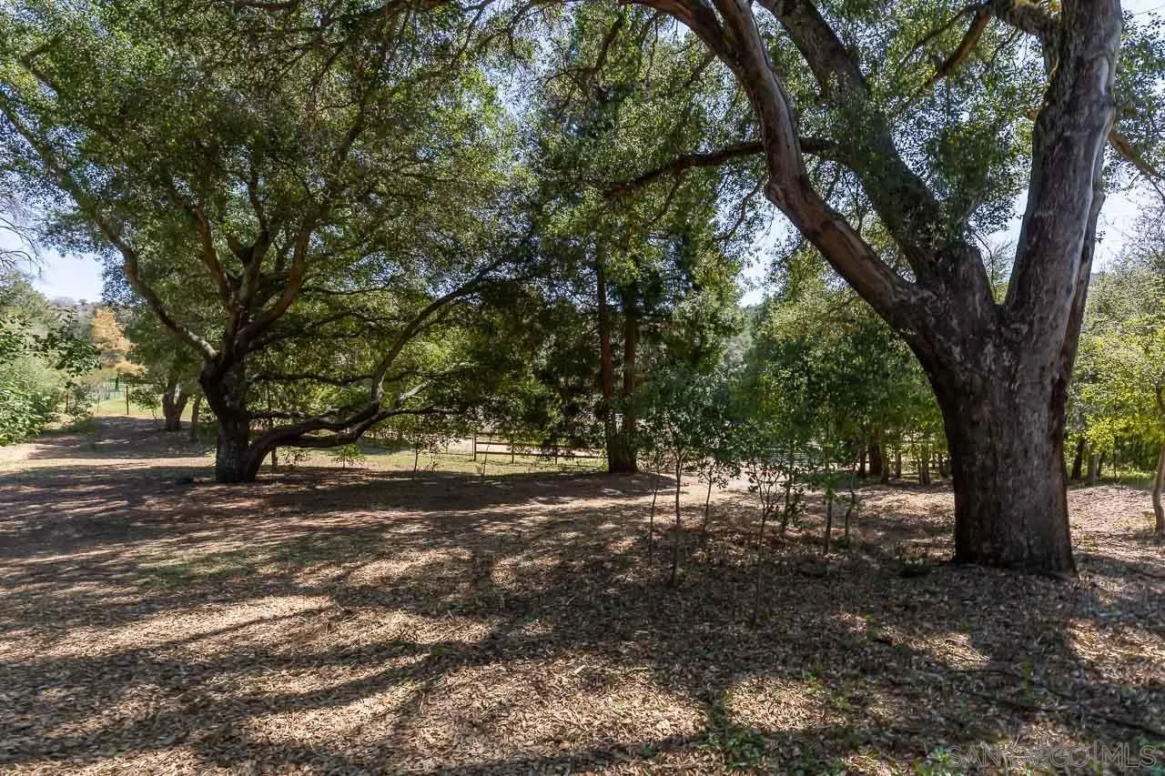 5867 Forest Meadow Road, Unit 15 Julian, CA 92036 - Photo 28 of 36 Gallery Image 28