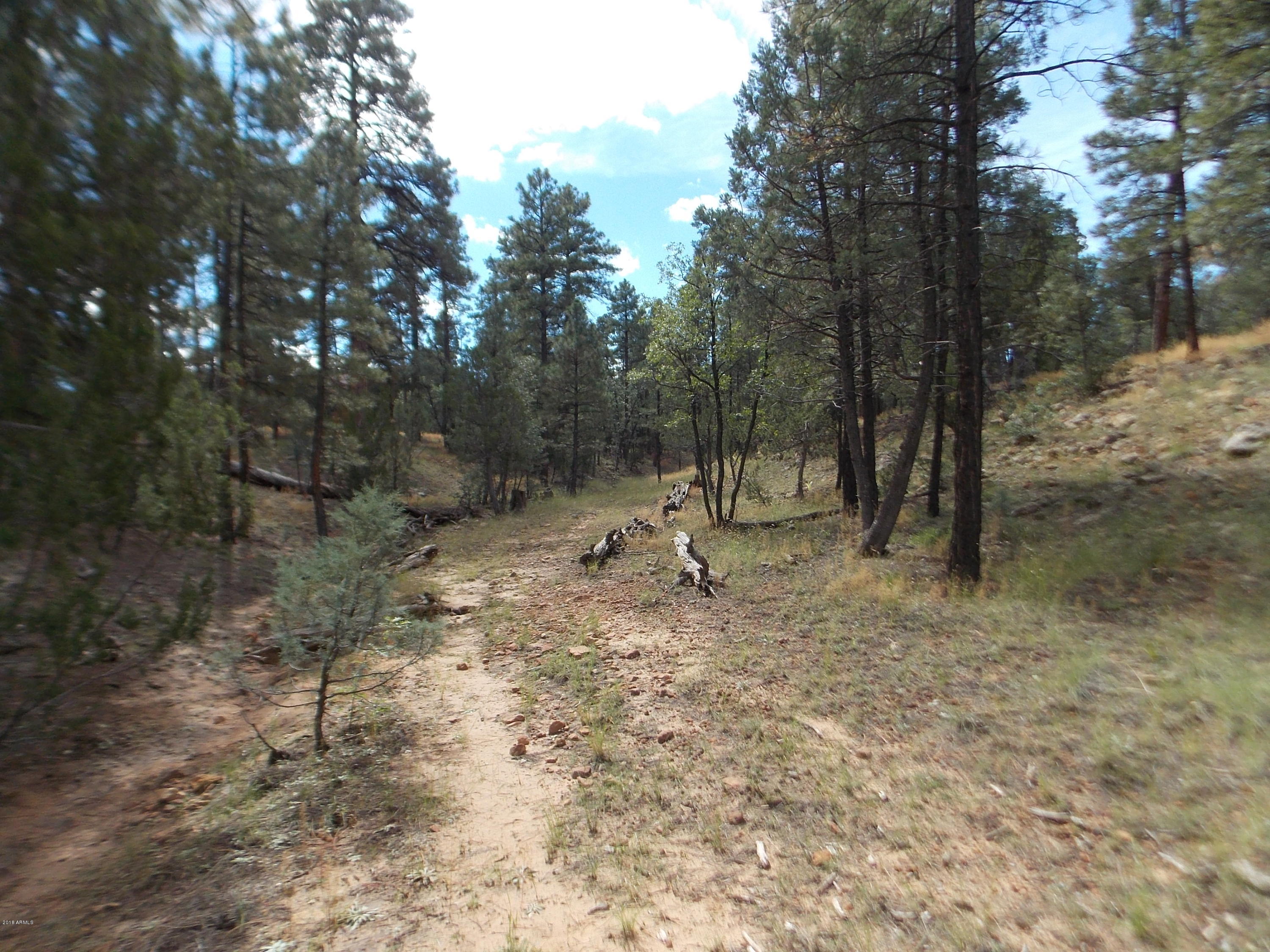 1518 Mainline Road, Unit 38 Heber, AZ 85928 - Photo 13 of 15 DSCN0382