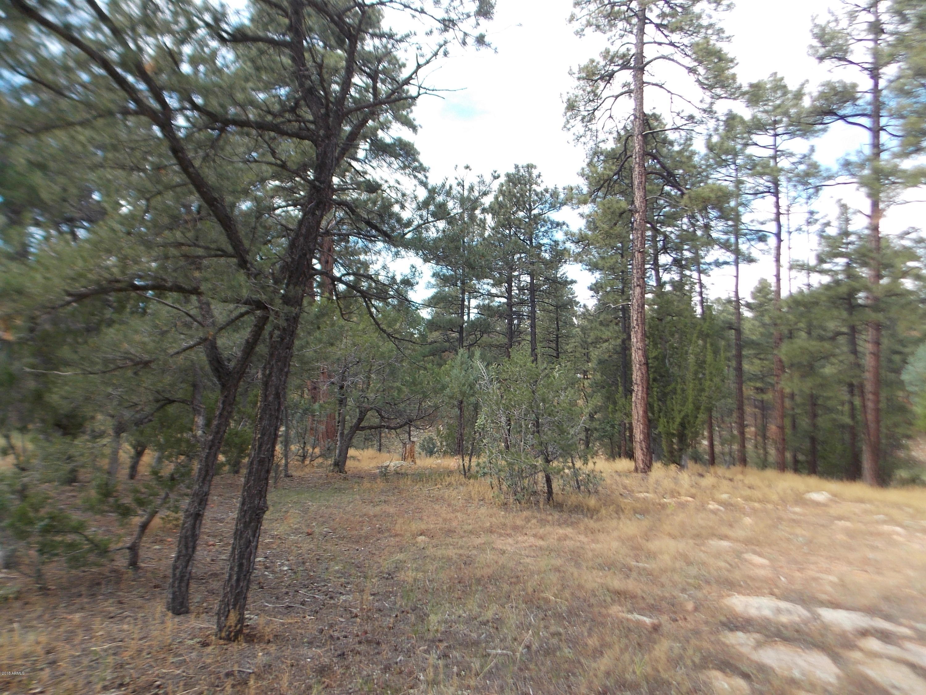 1518 Mainline Road, Unit 38 Heber, AZ 85928 - Photo 7 of 15 DSCN0376