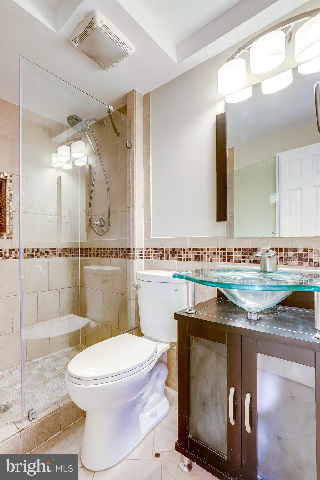 12307 Streamvale Circle Herndon, VA 20170 - Photo 64 of 78 Full Bath- Basement