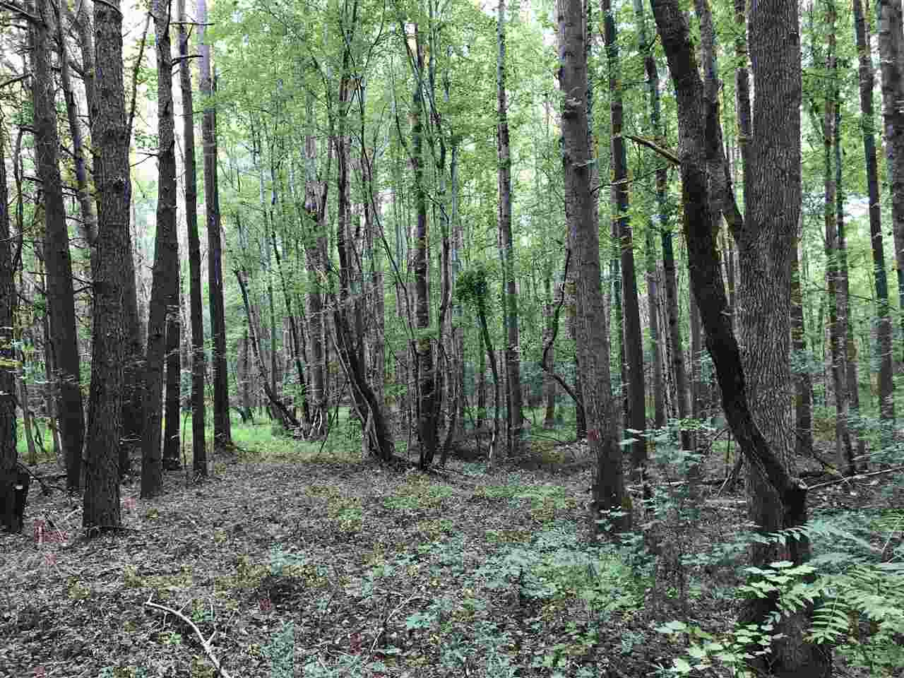 Stallings Mill Road Louisburg, NC 27549 - Photo 4 of 6 Photo 4