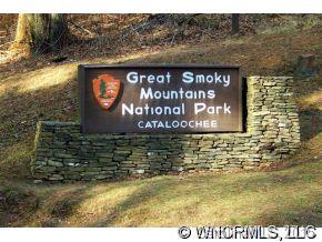 0 Cove Creek Road Waynesville, NC 28785 - Photo 1 of 11