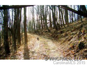 0 Cove Creek Road Waynesville, NC 28785 - Photo 3 of 11