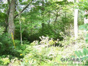 0 Cove Creek Road Waynesville, NC 28785 - Photo 4 of 11