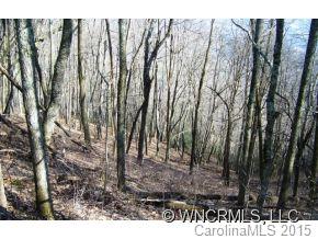 0 Cove Creek Road Waynesville, NC 28785 - Photo 6 of 11