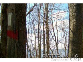 0 Cove Creek Road Waynesville, NC 28785 - Photo 7 of 11