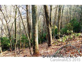 0 Cove Creek Road Waynesville, NC 28785 - Photo 8 of 11