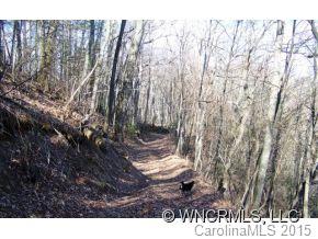 0 Cove Creek Road Waynesville, NC 28785 - Photo 9 of 11