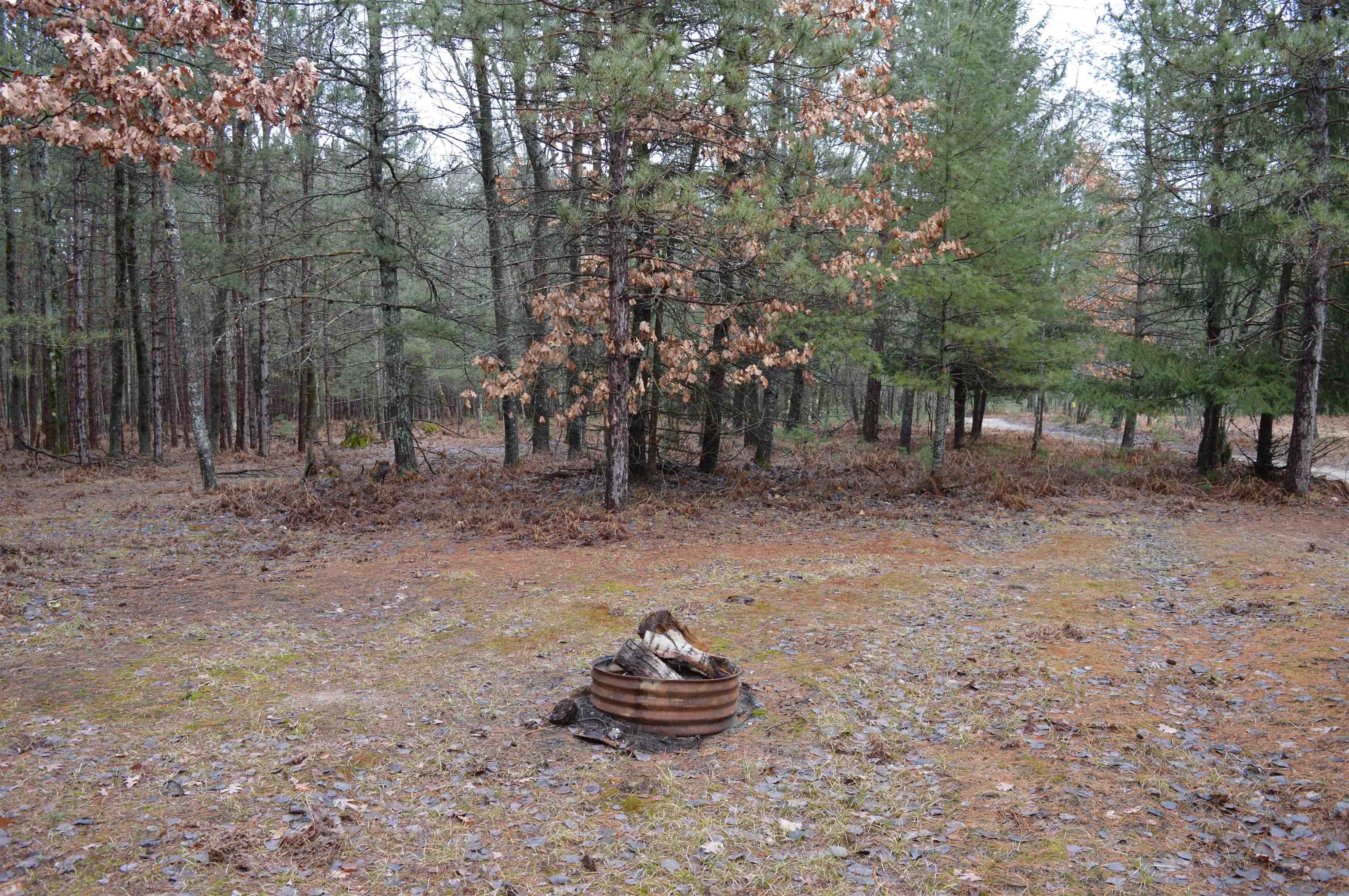 8766 Zubal Road Fife Lake, MI 49633 - Photo 20 of 30
