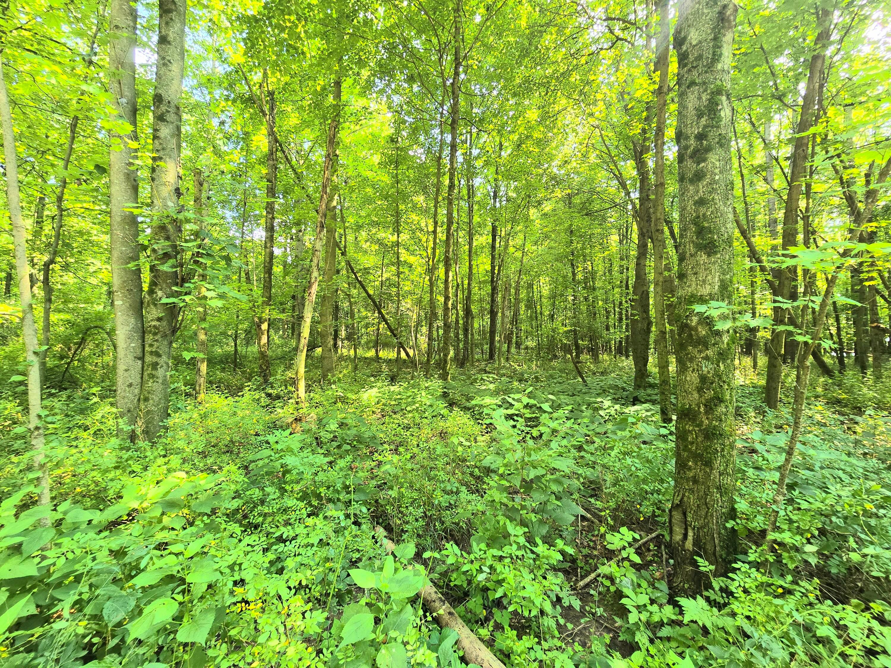 9026-1 Gregg Road Fredericktown, OH 43019 - Photo 15 of 16 1000062285