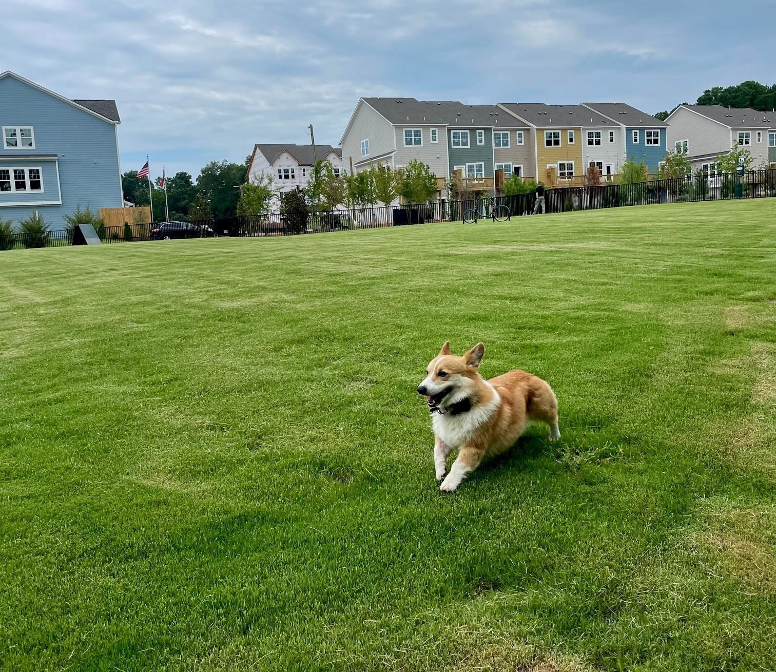 1007 Harmony Trail, Unit 16 Durham, NC 27703 - Photo 37 of 37 a house view with a garden space
