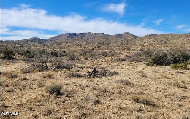 a view of a mountain in the distance in a field