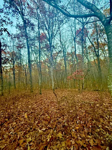 a view of lake with green space