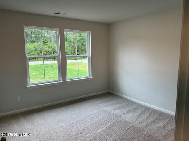 131 Cougar Road Boiling Spring Lakes, NC 28461 - Photo 9 of 18 Wildflower Bedroom 1