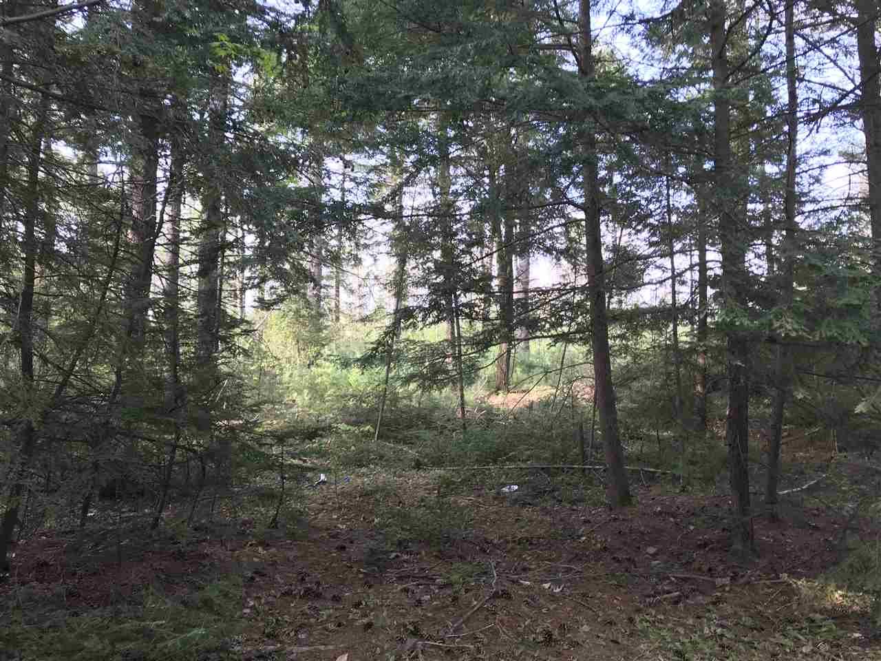 70-3 New Road Center Barnstead, NH 03225 - Photo 3 of 7
