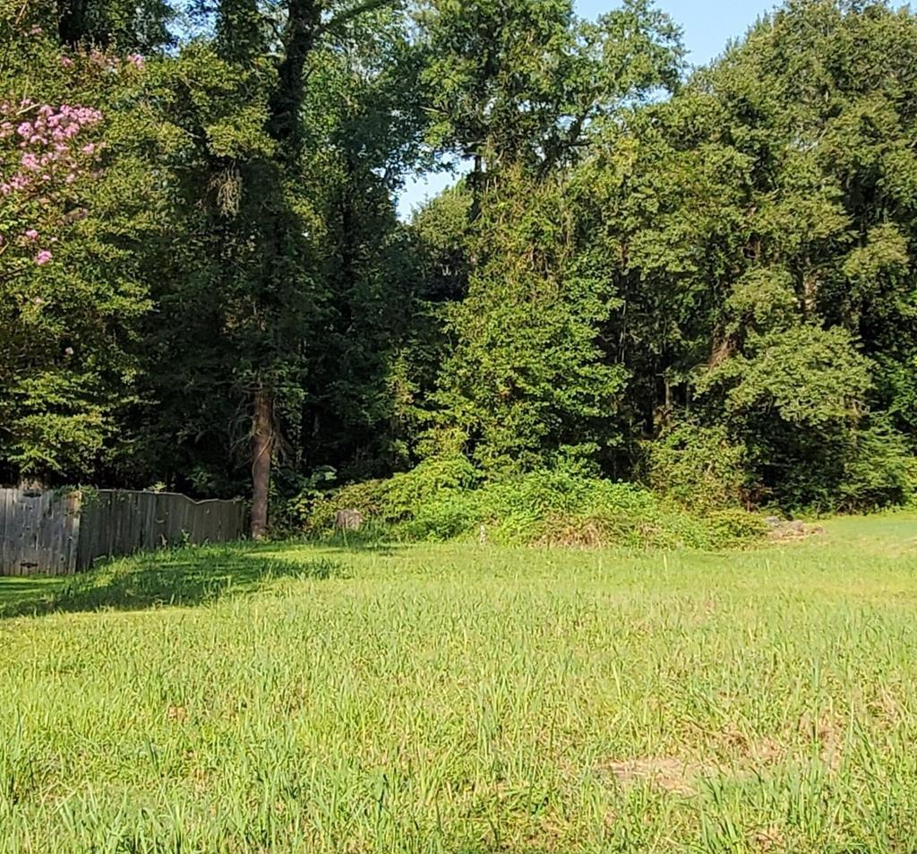 2981 Barbara Road Columbus, GA 31907 - Photo 2 of 4 Cleared Residential Lot