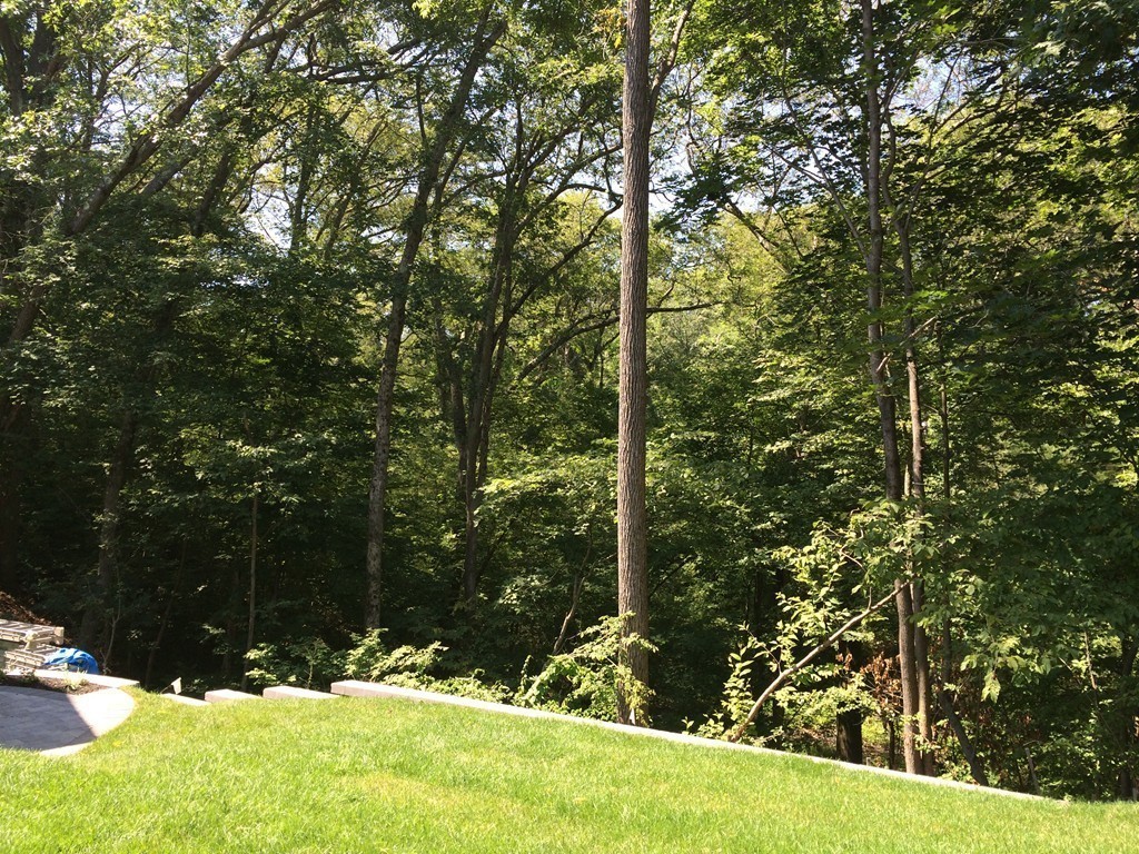 29 Curve Street Needham, MA 02492 - Photo 7 of 11 Gallery Image 7