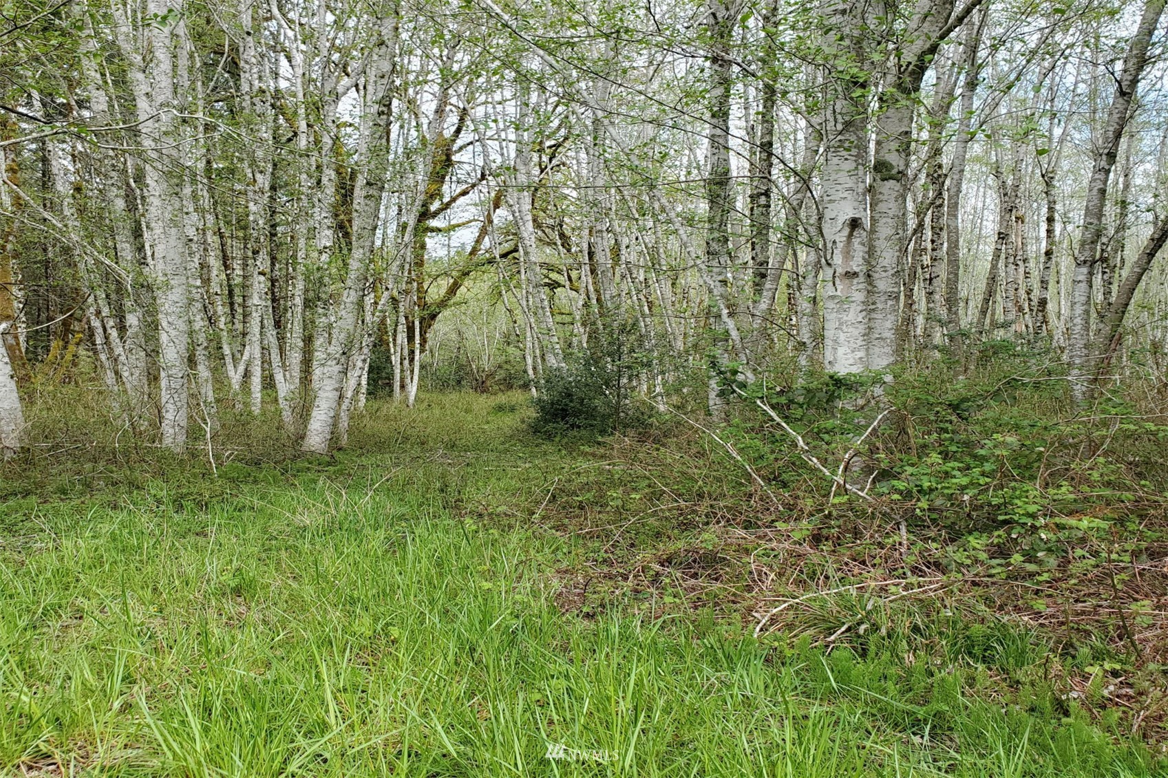 100 East Sunset Hill Road Shelton, WA 98584 - Photo 5 of 9 a view of outdoor space and a yard