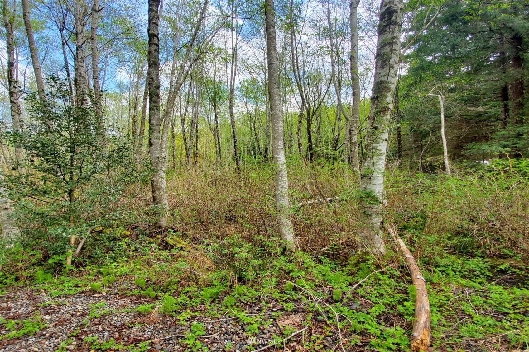 100 East Sunset Hill Road Shelton, WA 98584 - Photo 6 of 9