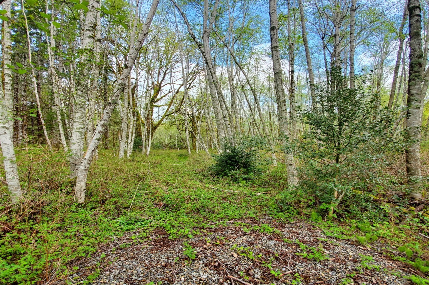 100 East Sunset Hill Road Shelton, WA 98584 - Photo 7 of 9 a view of outdoor space and trees all around