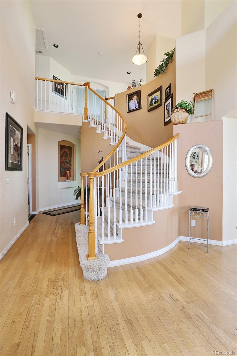 819 Ridgemont Circle Highlands Ranch, CO 80126 - Photo 4 of 28 Gallery Image 4
