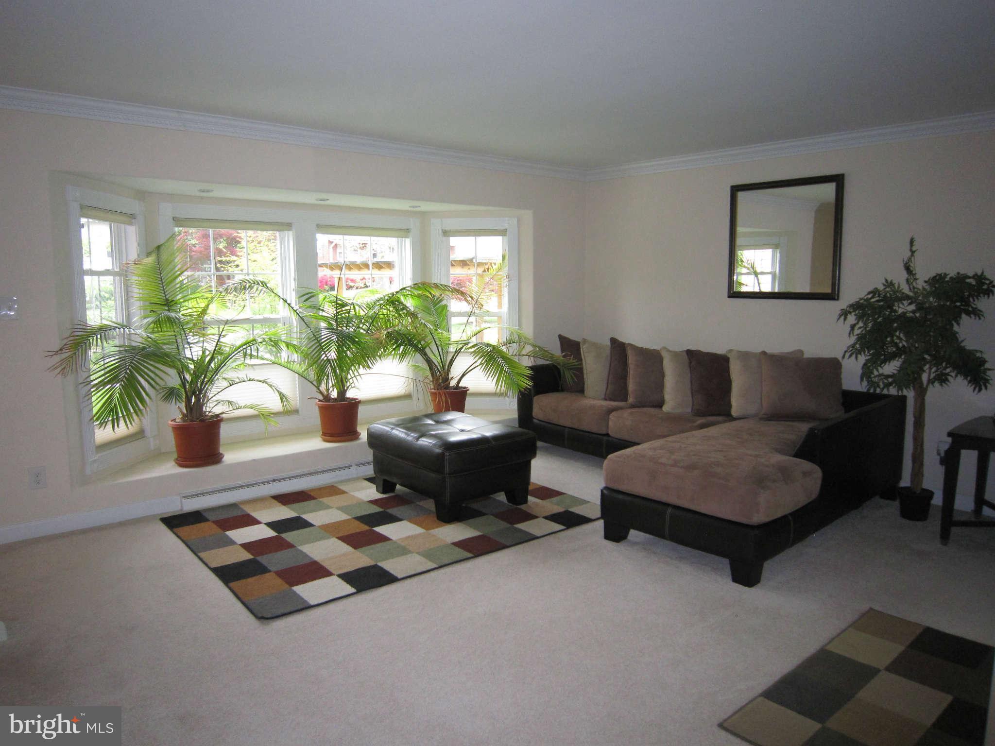 4310 Emden Street Silver Spring, MD 20906 - Photo 8 of 21 a living room with furniture and a potted plant