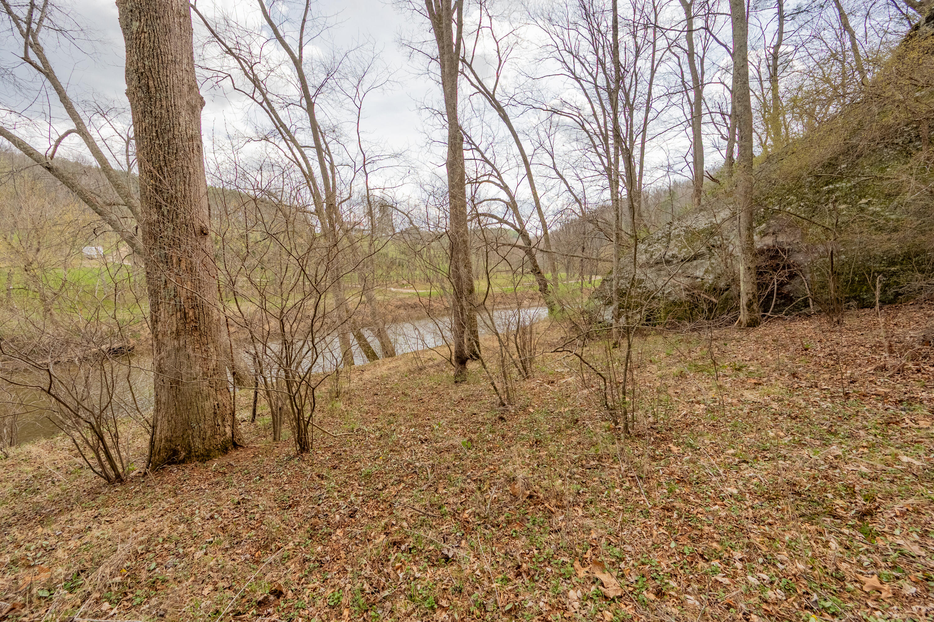 183 Pine Mountain Road Northeast Floyd, VA 24091 - Photo 47 of 54 a view of empty yard with trees