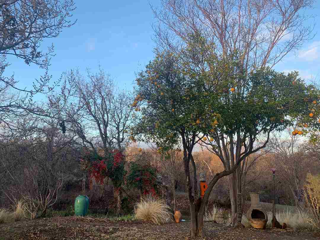 18110 Quail Ridge Road Cottonwood, CA 96022 - Photo 31 of 56