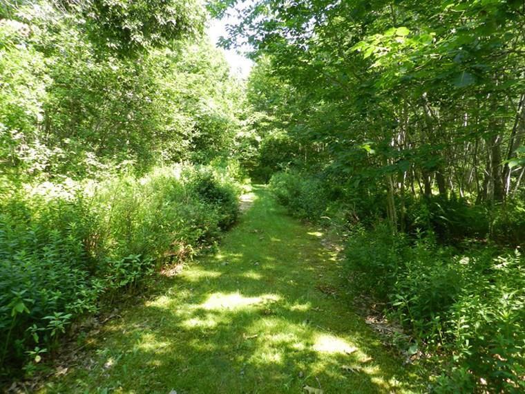 34 Stone's Point Road Cushing, ME 04563 - Photo 2 of 5 Path to shore from Road